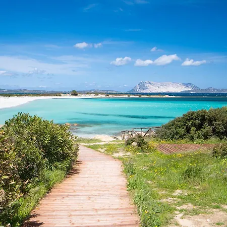 Molarotto Villa San Teodoro (Sardinia)