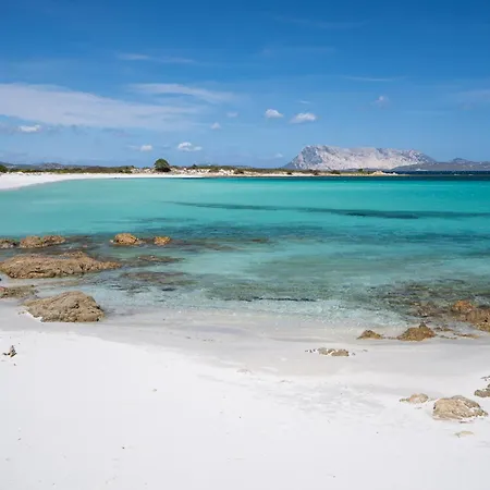 Villa Molarotto San Teodoro (Sardinia)