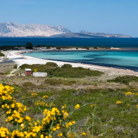Molarotto * San Teodoro (Sardinia)