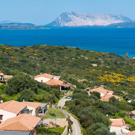 Molarotto * San Teodoro (Sardinia)